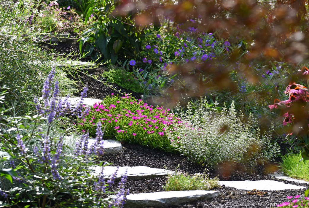 Bilder Garten + Rasen Jost AG