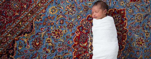 Images Jahann And Sons Persian Rugs