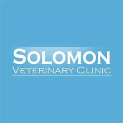 business logo