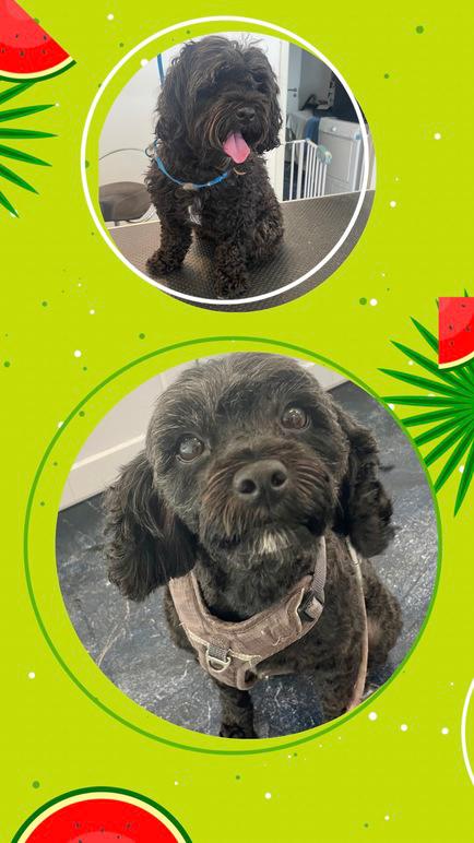 Images 4 Tassarnas Trim AB