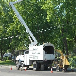 Images Roberts Tree Service
