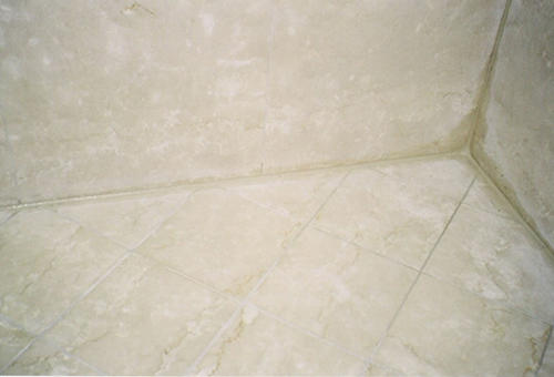 Images Great Grout Tile Care