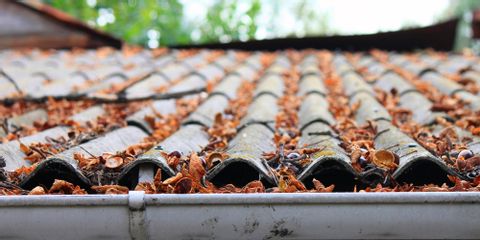 Why You May Need Roof Cleaning Instead of Repair or Replacement