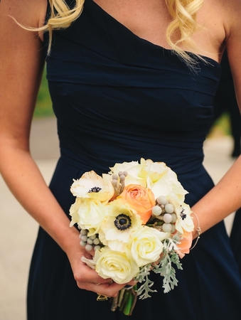 Images Rocky Mountain Wildflowers