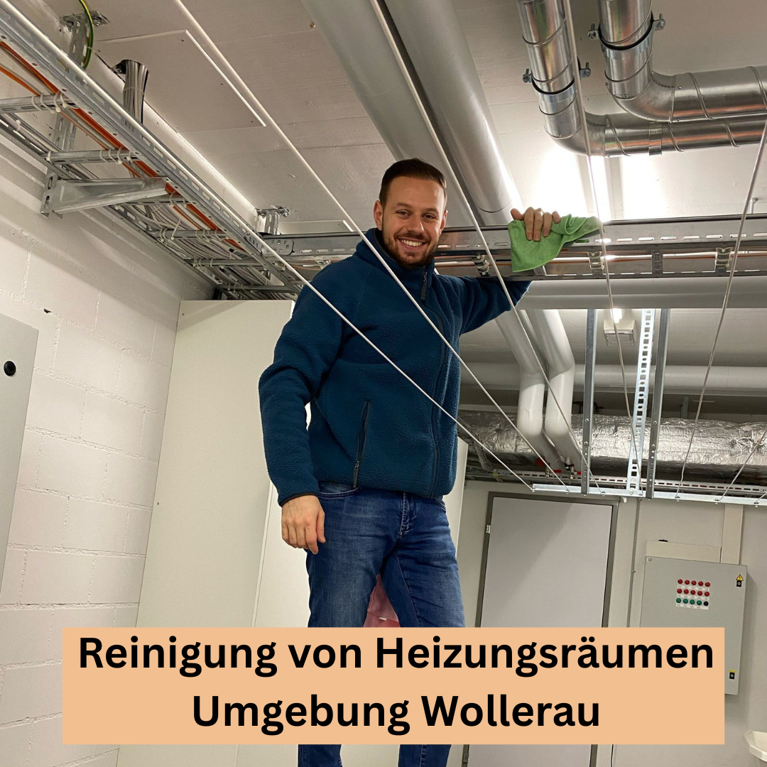 Bilder Sopa Reinigung