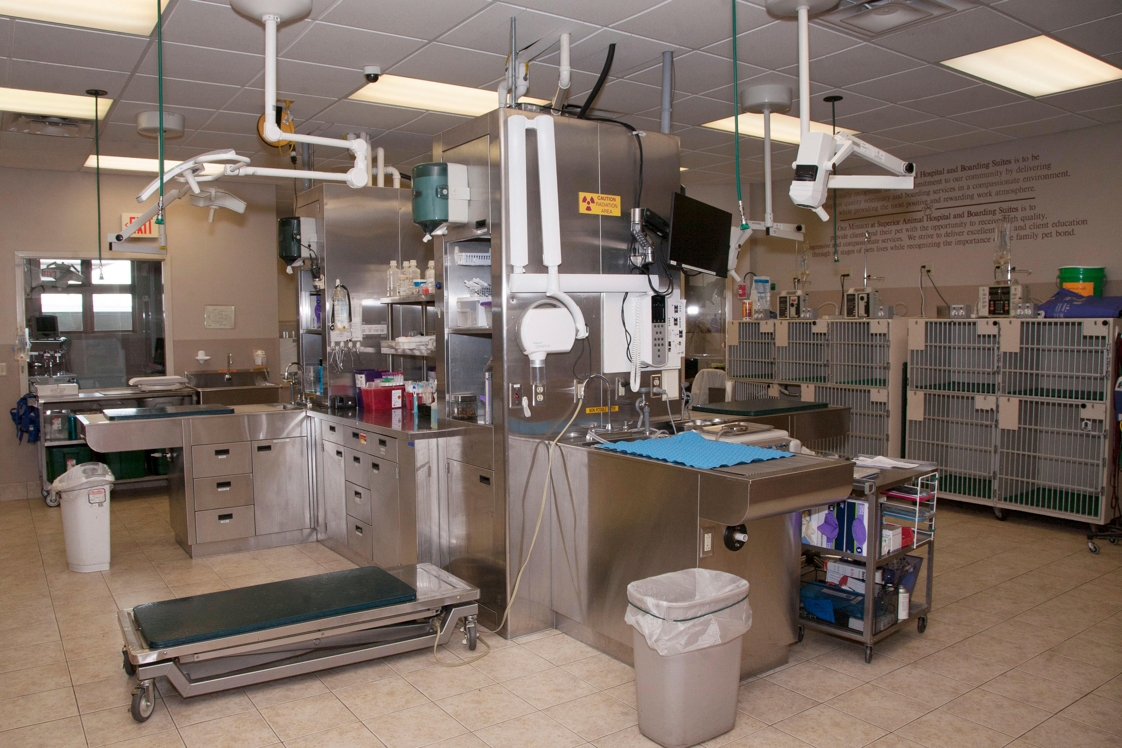 Take a peek inside the treatment area at Superior Animal Hospital. Here, our medical team carries out a variety of procedures, such as administering vaccines, dental cleanings, and pre-surgical preparation.