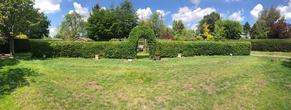 Images Ms Tree Care Ltd
