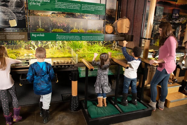 Images voco Saranac Lake NY - Waterfront by IHG