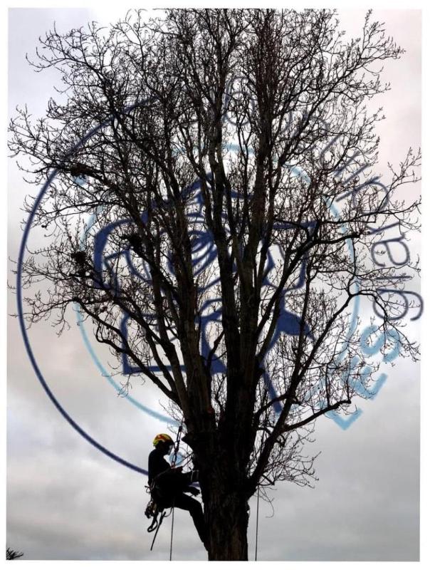 Images Les Giardinaggio