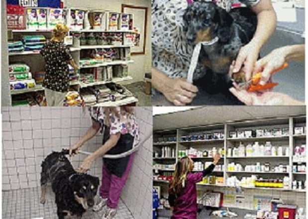 Images Gateway Animal Hospital