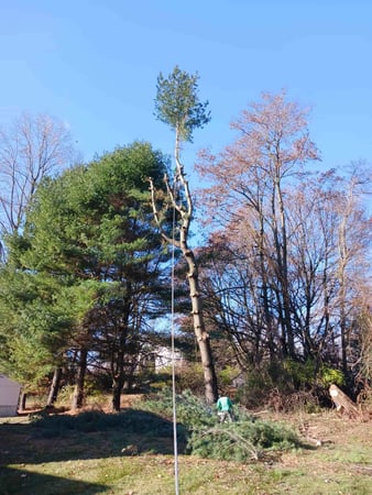 Images Ernesto Property Maintenance LLC