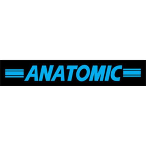 Anatomic-Jan Ritzer Logo