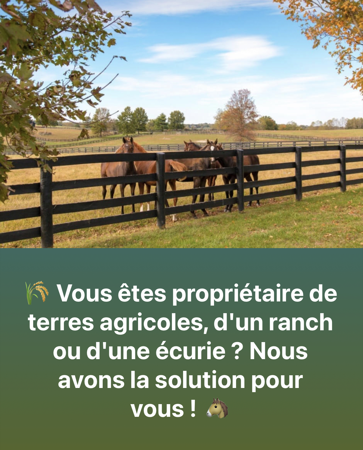 Images Pro-Nord Construction