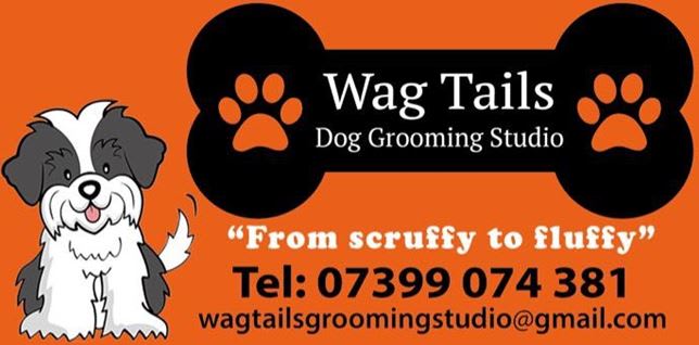 Images Wag Tails Dog Grooming Studio