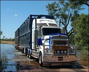 Images Whiteley’s Livestock Transport Pty Ltd