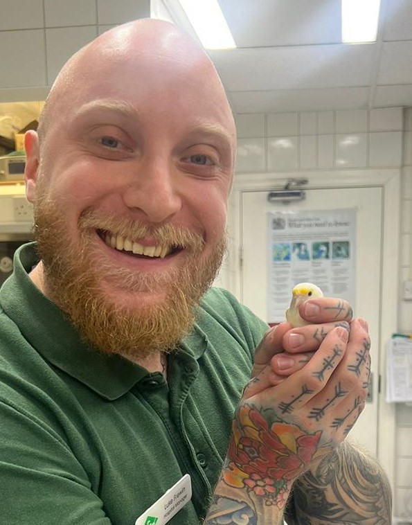 Images Streatham Hill Veterinary Surgery
