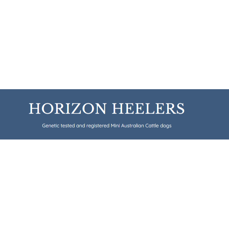 Horizon Heelers Logo