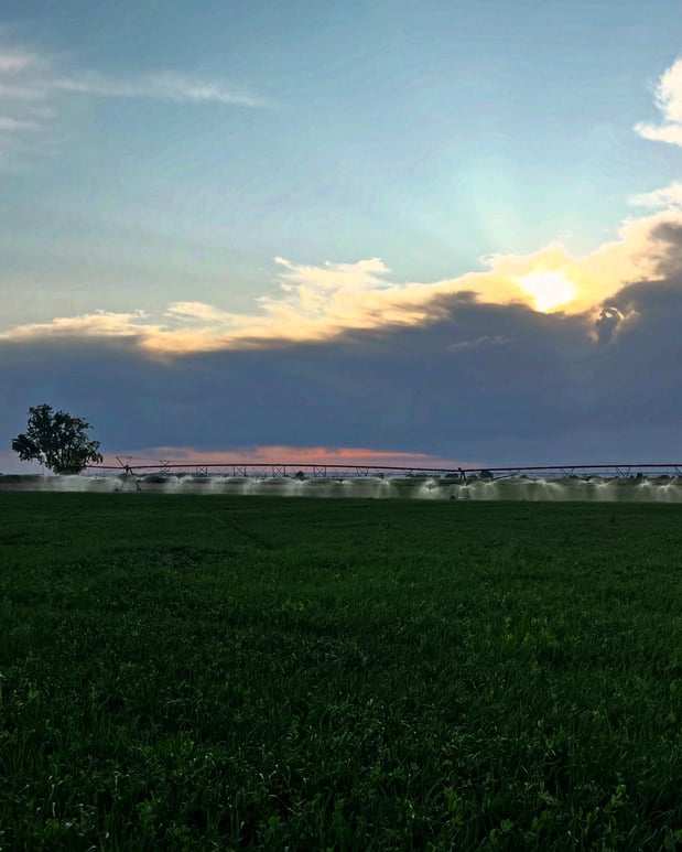 Images Ranchy Realtor