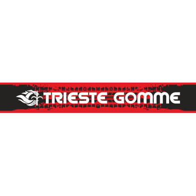 Logo Trieste Gomme Trieste 040 44667