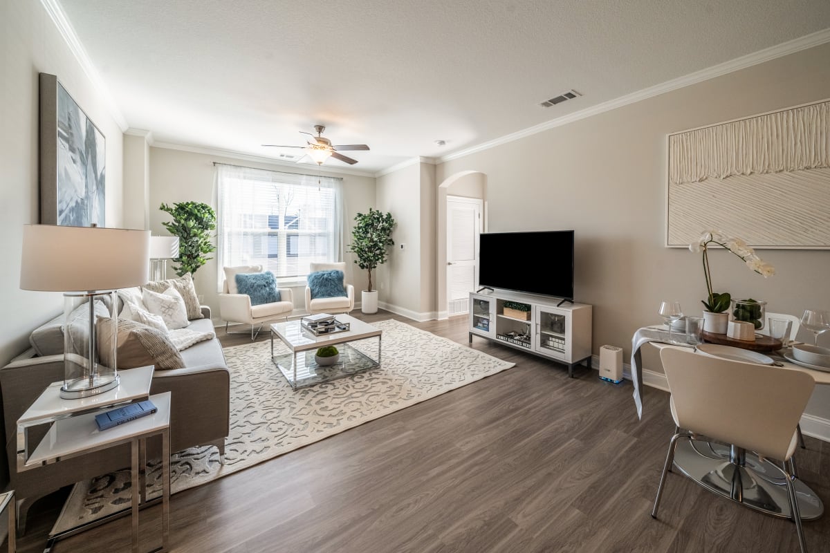 Beautiful Living Room