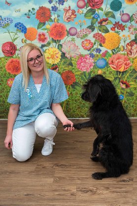 Kieferorthopädische Fachpraxis - Dr. Kristina Schreiber, Am Christinentor 1 in Lünen