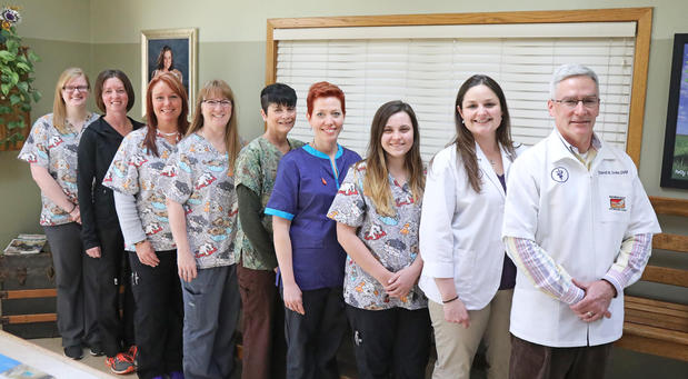 Images Rainbow Valley Veterinary Clinic