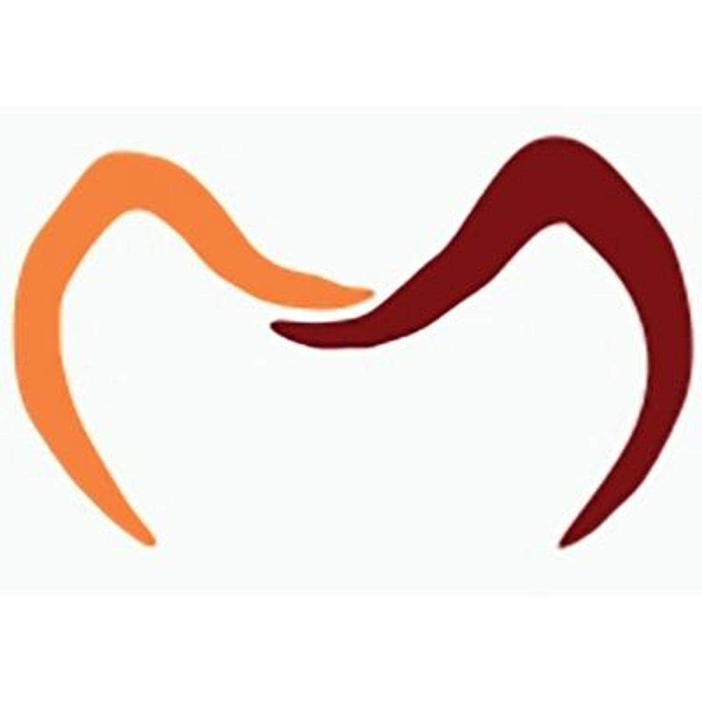 Dr.med.dent. Andreas Schlichting Zahnarztpraxis in Pulsnitz