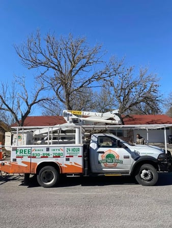 Images Texas Tree Service