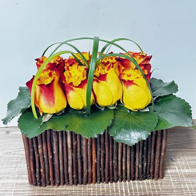 Images Jane's Roses & Flowers