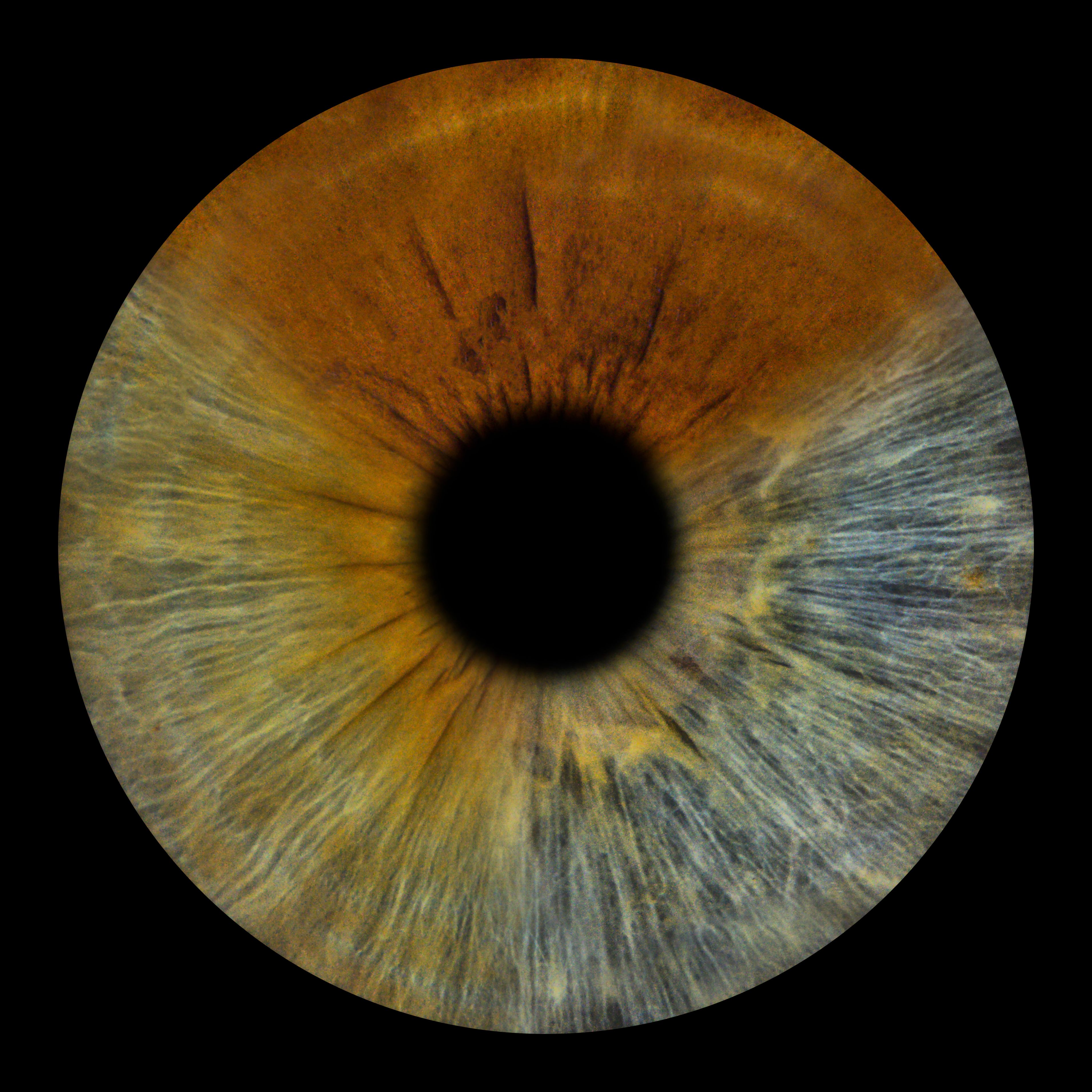 Bilder You & Eye Photo Montreux