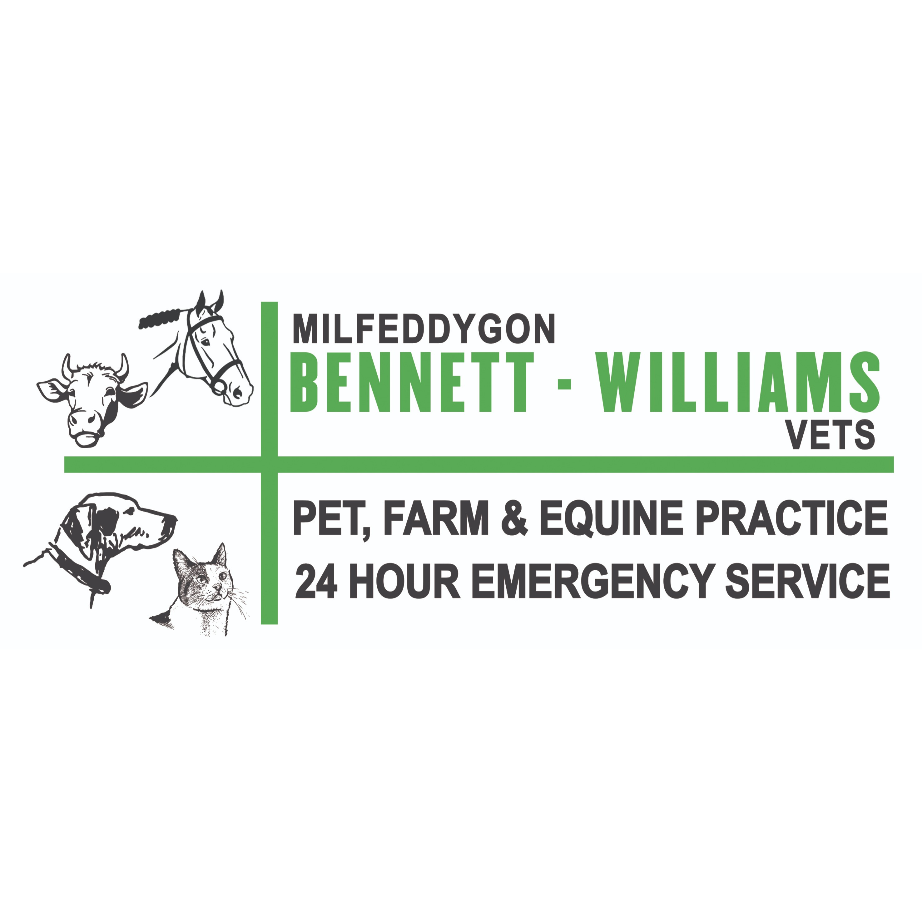 company logo