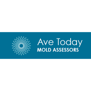 Ave Today Mold Assessors Logo