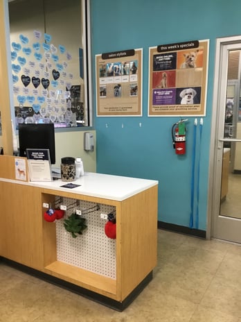 Images Petco Grooming