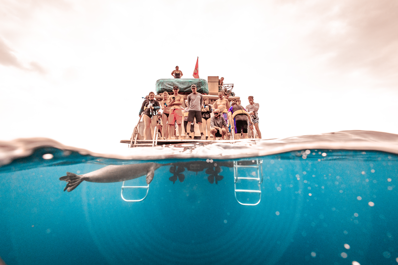 Images Maui Snorkeling