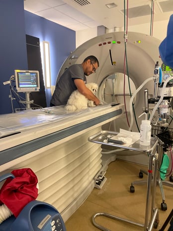 Images VCA West Los Angeles Animal Hospital