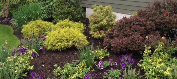 Images Allan Bellezza Contracting LLC