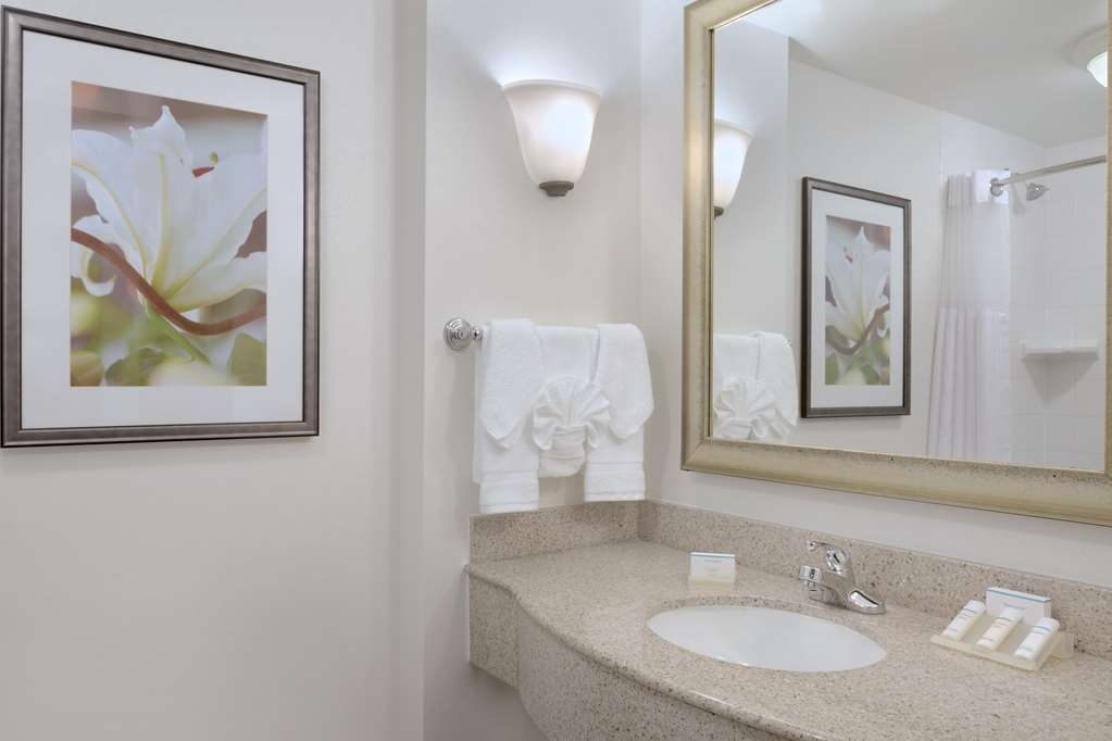 Guest room bath