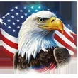 Veteran's Tree Services, LLC Logo