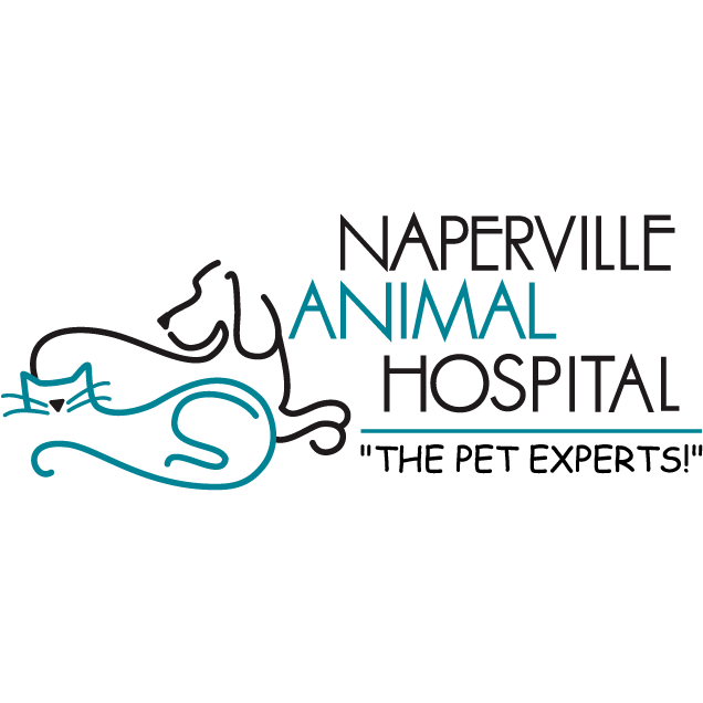 Naperville Animal Hospital - Naperville, IL 60563 - (630)355-5300 | ShowMeLocal.com