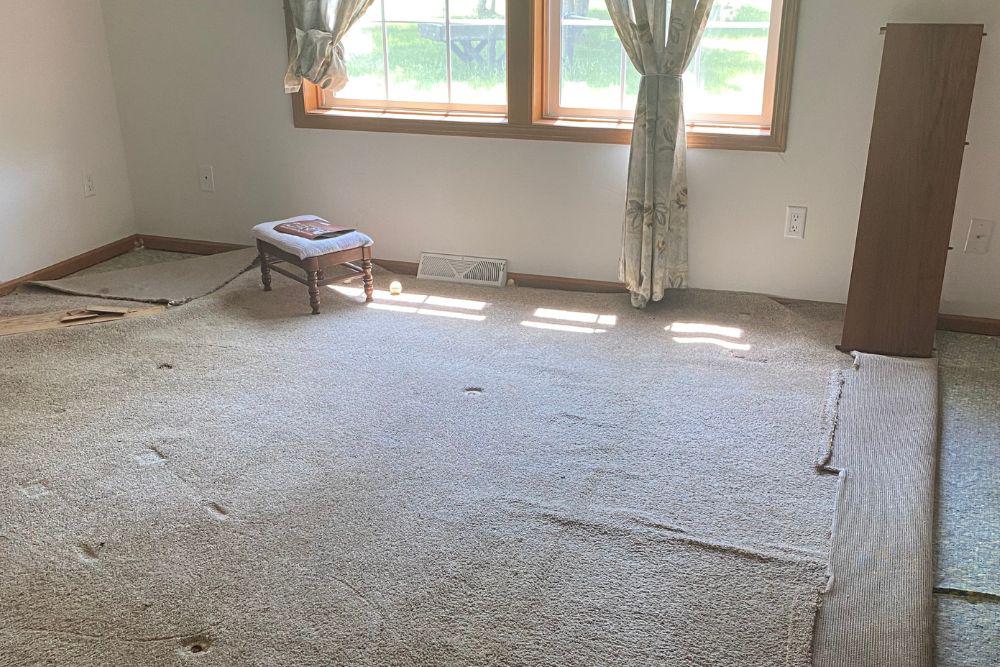 Pictured here, the carpet is pulled back to dry out the pad after flood cleanup in Minneapolis.
