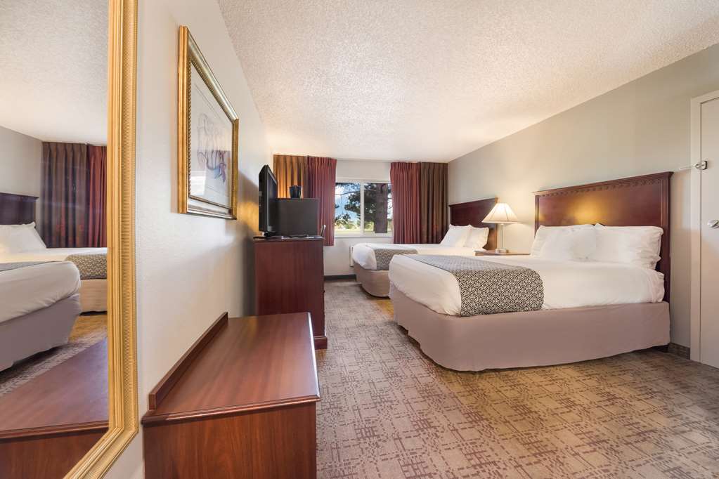 Double Bed Guestroom