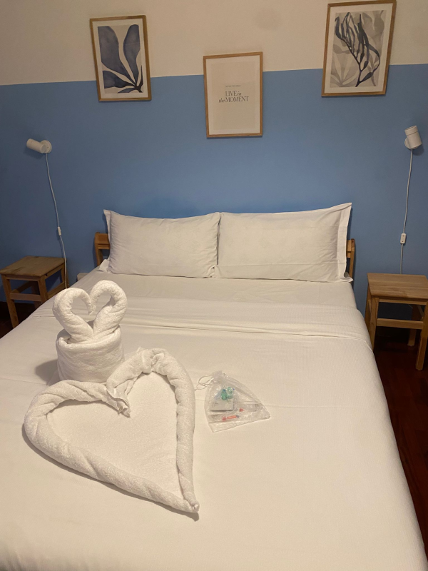 Images Corina Bacalu Impresa Pulizie