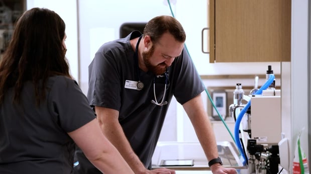 Images VCA Mainland Animal Hospital