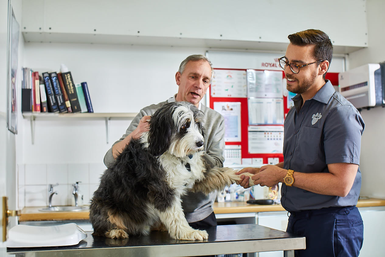 Images Best Friends Vet Group, Dagenham