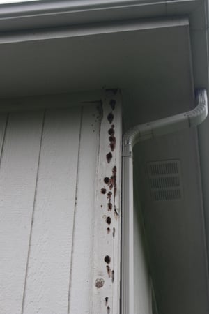 Images Scott's Painting & Staining Inc