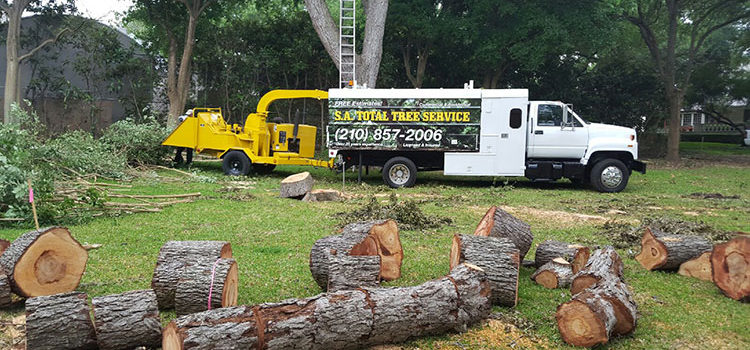 SA Total Tree Service Photo