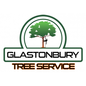 Glastonbury Tree Service Logo