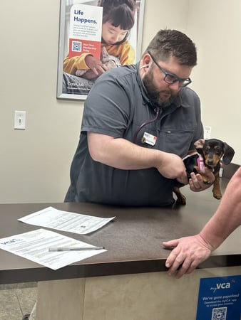 Images VCA All Pet Animal Hospital/Taylorsville