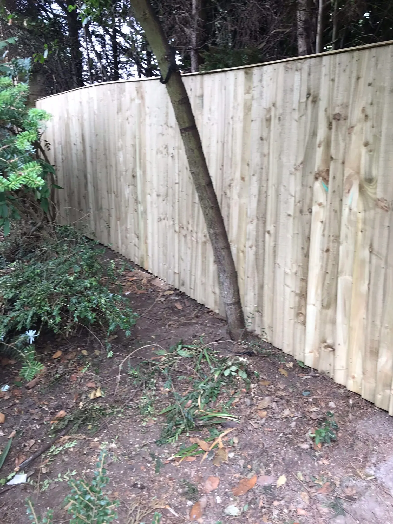 Images D & E Landscapes