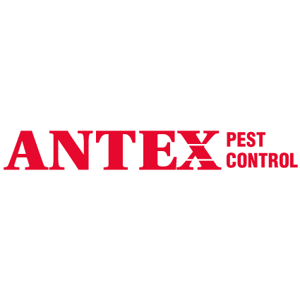 Antex Pest Control Co LLC Logo